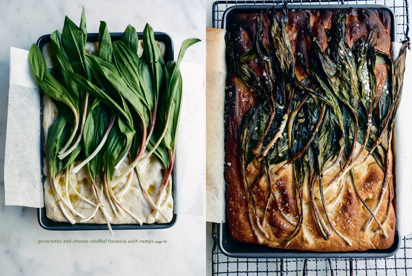 ROOTED KITCHEN