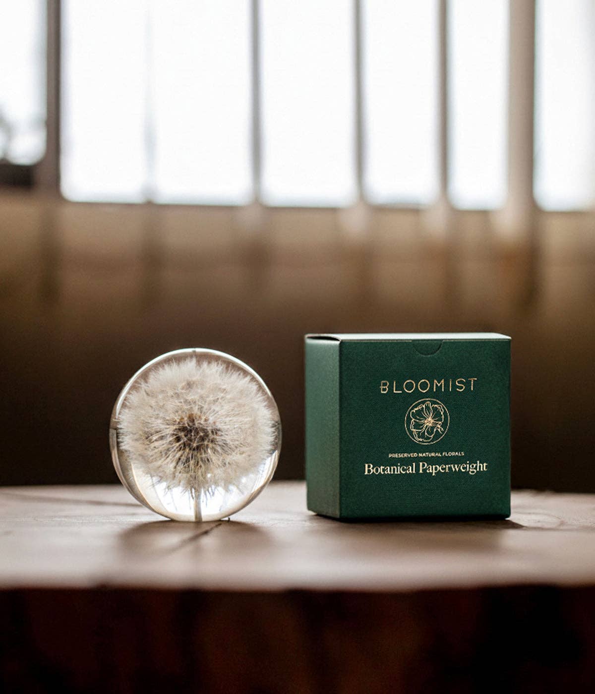 DANDELION BOTANICAL RESIN PAPERWEIGHT